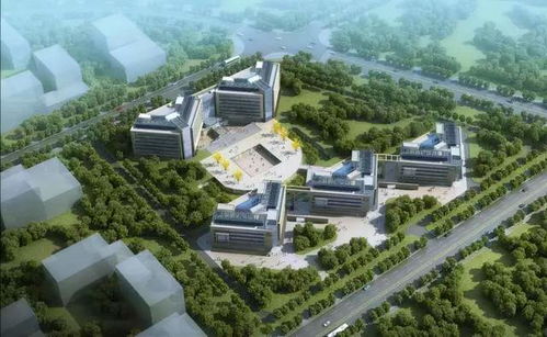 磐仪科招大健康产业园的招商与发展 房地产开发的创新模式探索